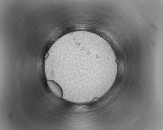 X0000116550557201001071118