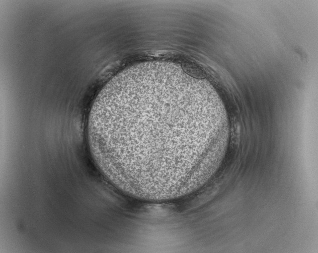 X0000116550558201001071118