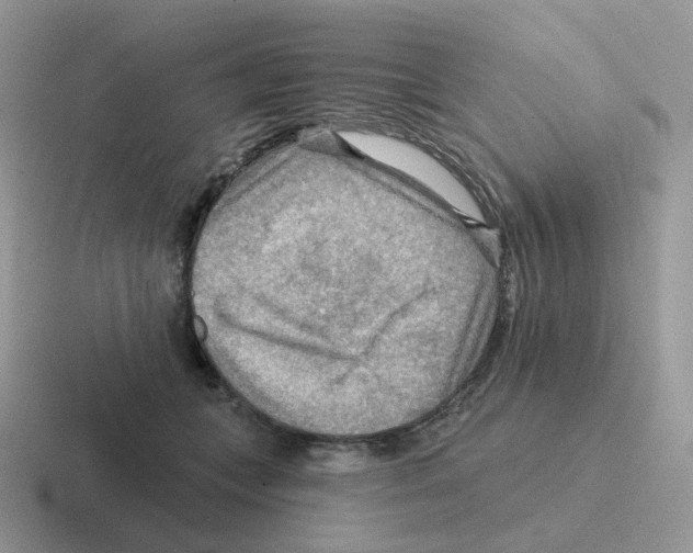 X0000116550559201001071118