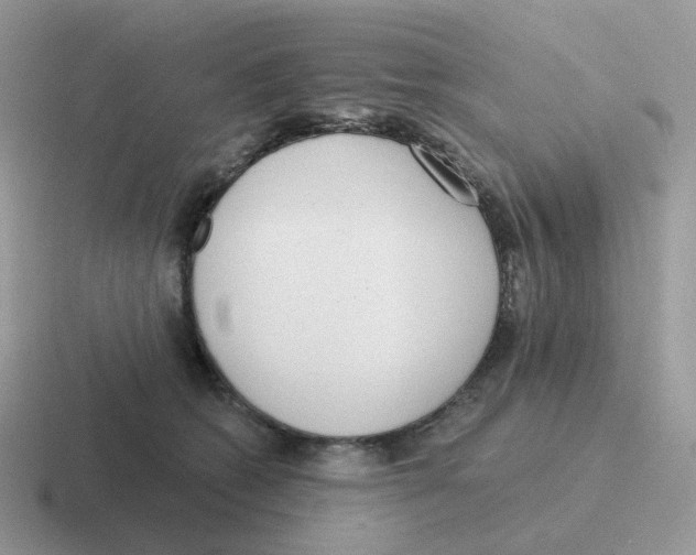 X0000116550562201001071118