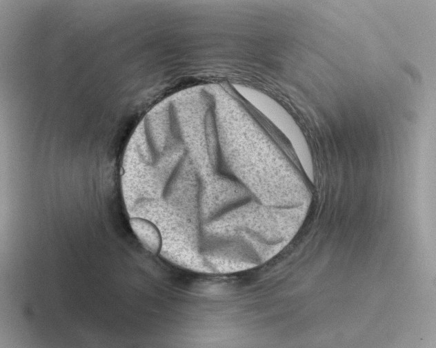 X0000116550563201001071118