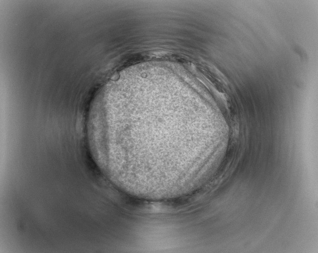 X0000116550565201001071118