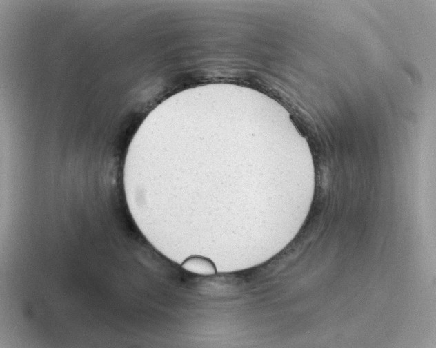 X0000116550567201001071118