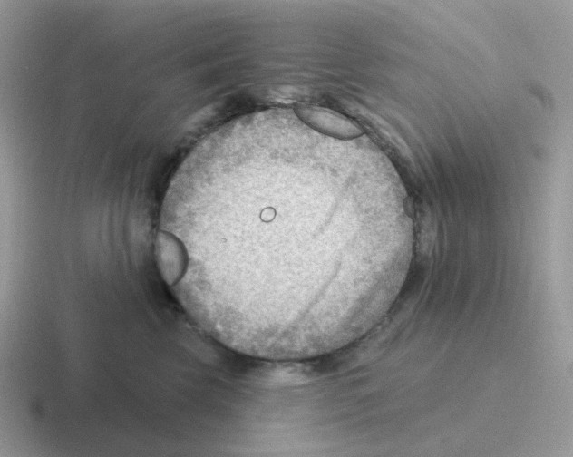 X0000116550569201001071118