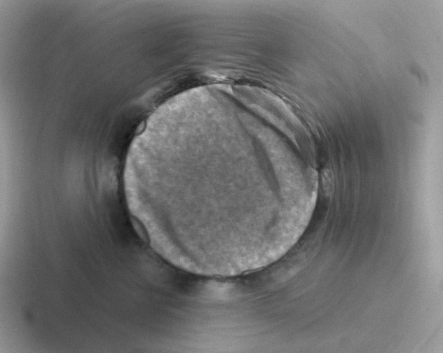 X0000116550570201001071118