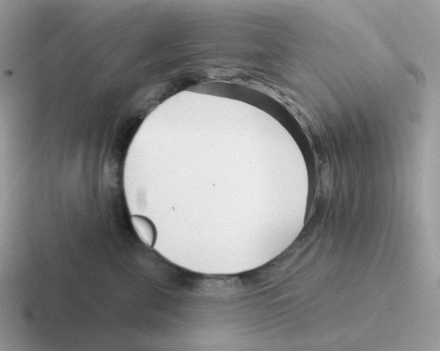 X0000116550571201001071118