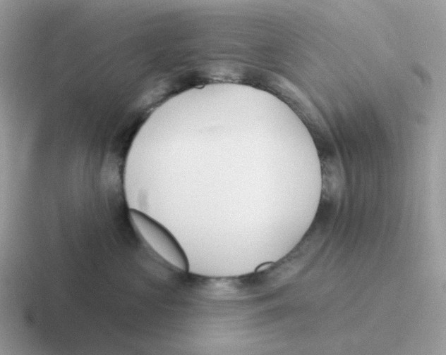 X0000116550573201001071118