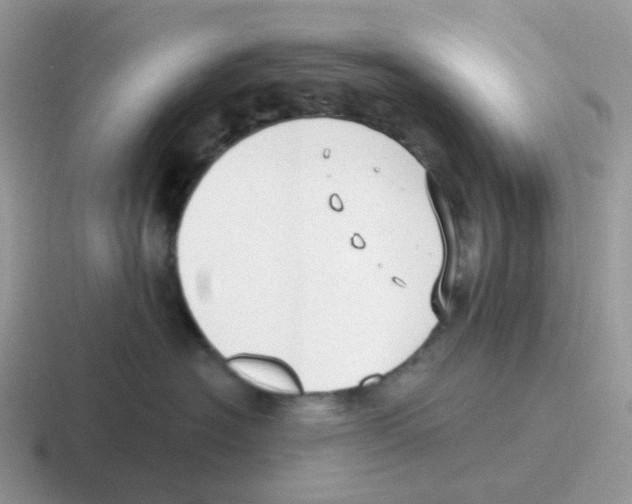 X0000116550574201001071118