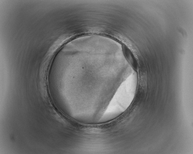 X0000116550577201001071117