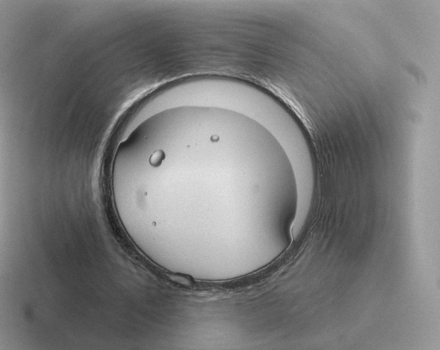 X0000116550579201001071117