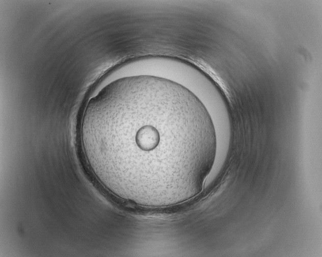 X0000116550581201001071117