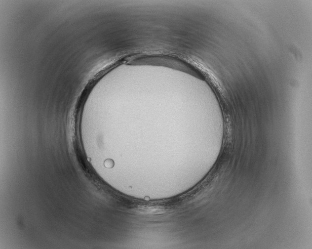 X0000116550582201001071117