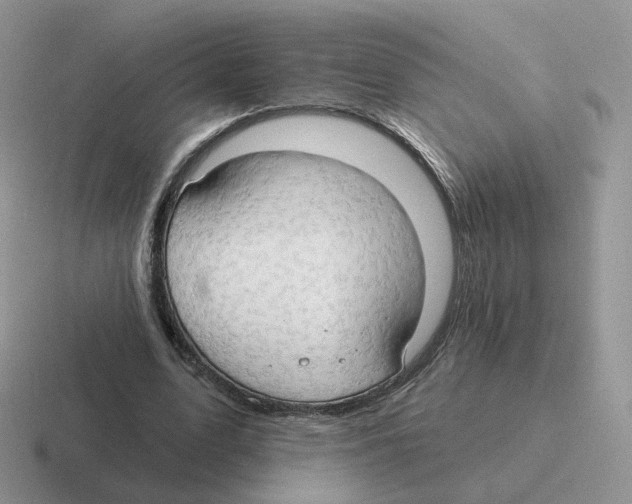 X0000116550583201001071117