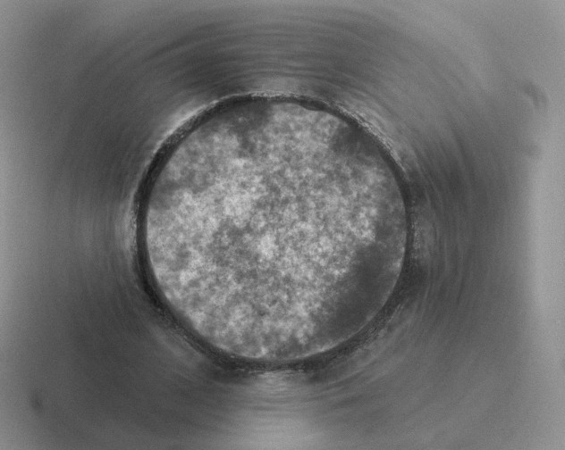 X0000116550584201001071117