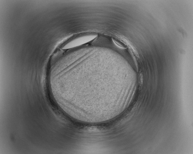 X0000116550588201001071117