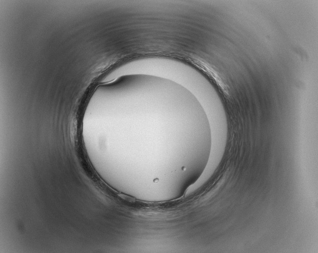 X0000116550589201001071117