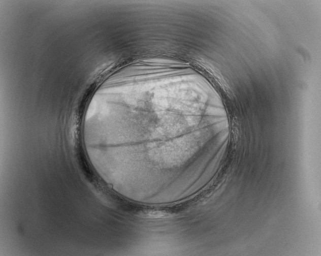 X0000116550590201001071117