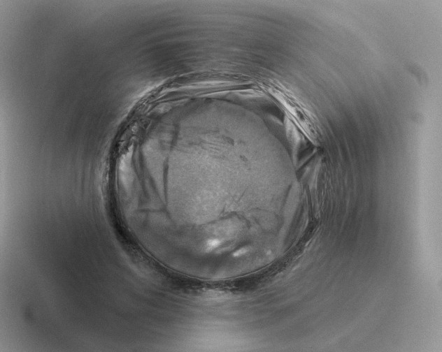 X0000116550592201001071117