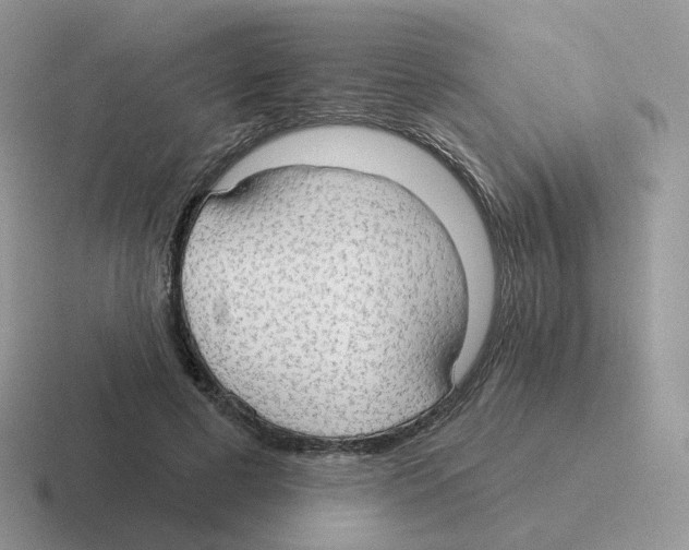 X0000116550593201001071117