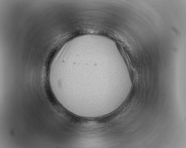 X0000116550594201001071117