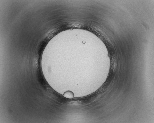 X0000116550595201001071117