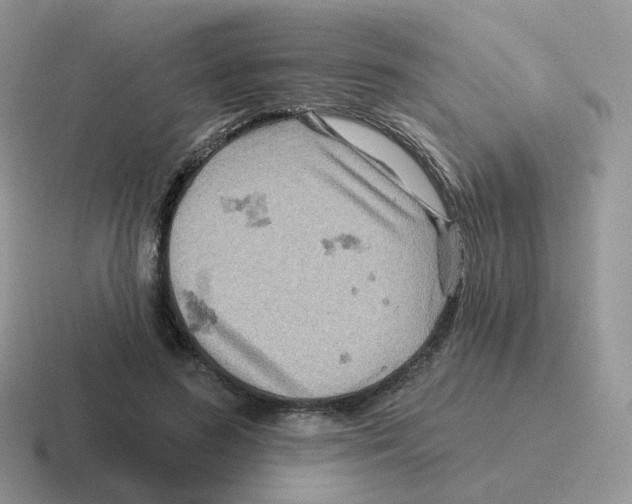 X0000116550596201001071117