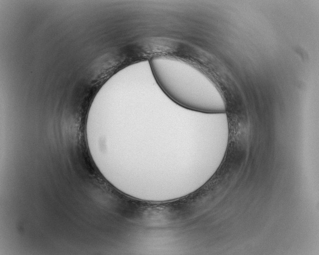 X0000116550599201001071117