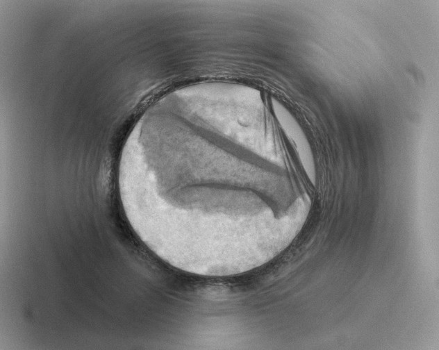 X0000116550600201001071117