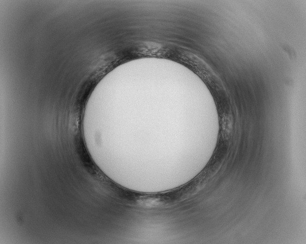 X0000116550602201001071117