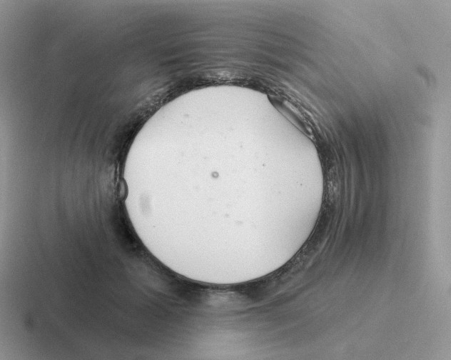 X0000116550605201001071117