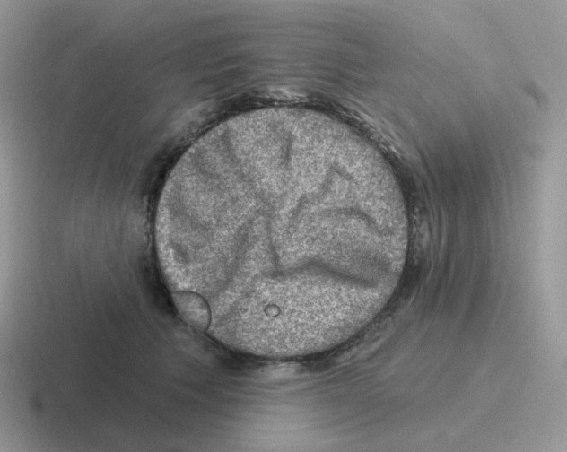 X0000116550609201001071117