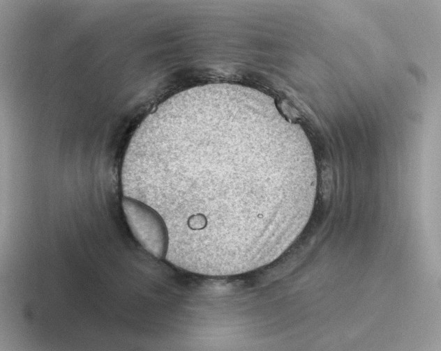 X0000116550613201001071117