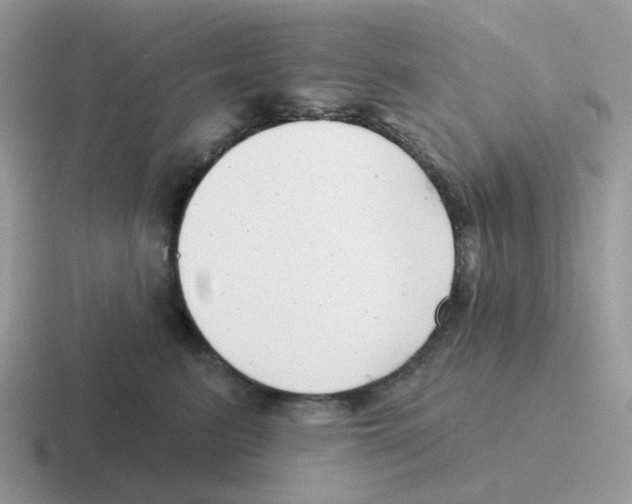 X0000116550615201001071117