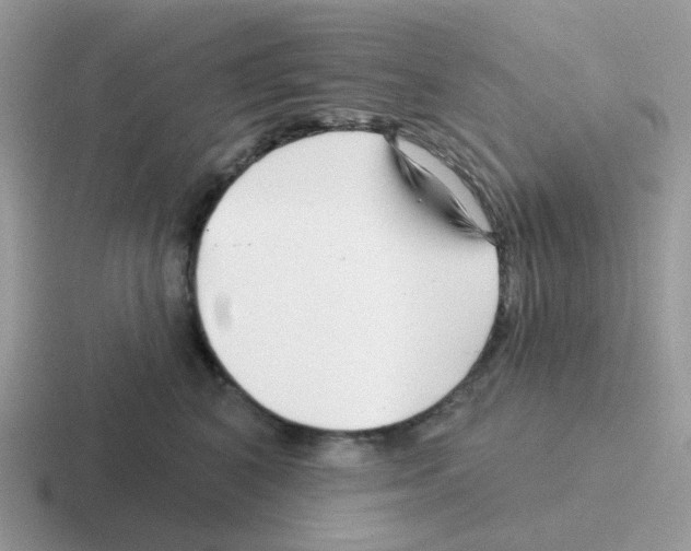 X0000116550616201001071117