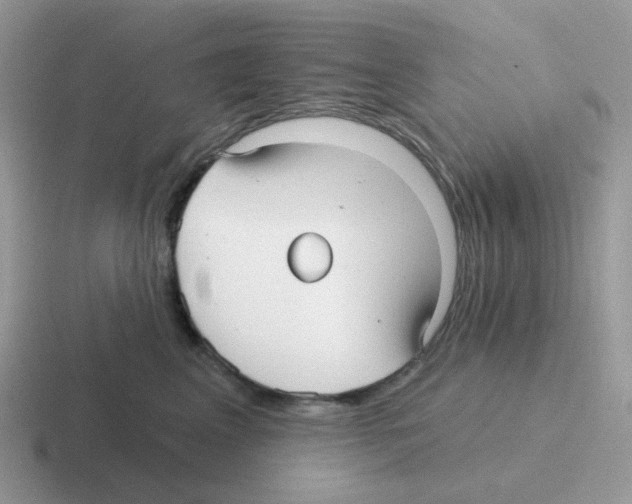 X0000116550617201001071117