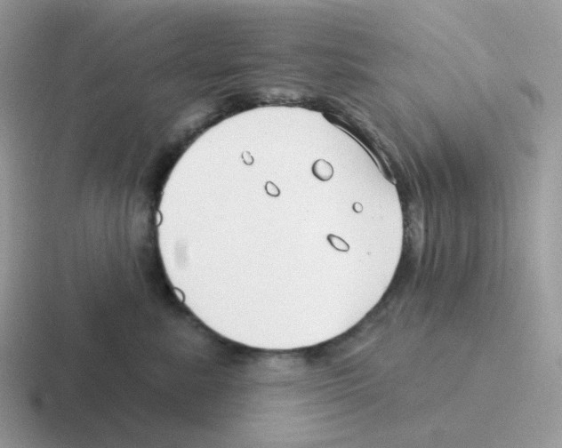 X0000116550619201001071117