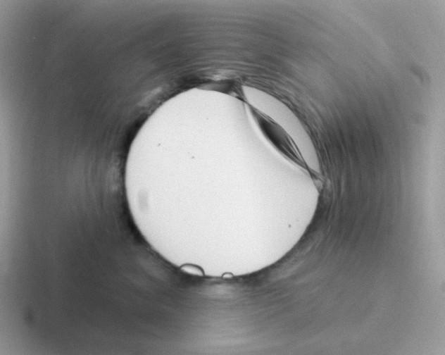 X0000116550620201001071117