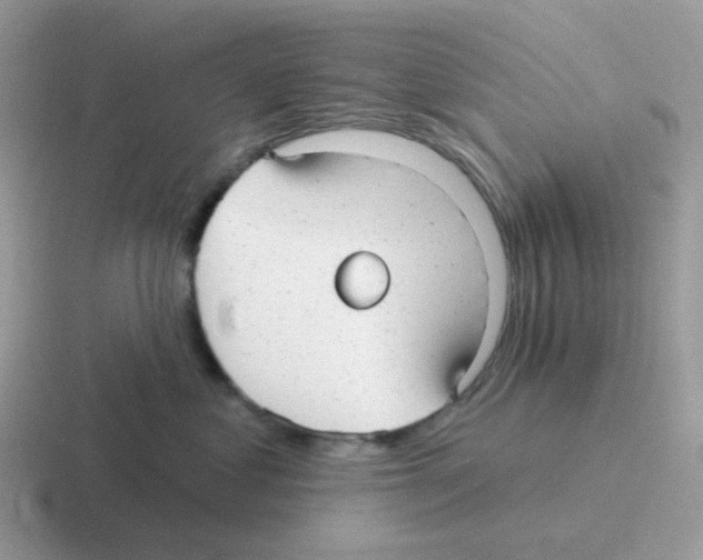 X0000116550621201001071117