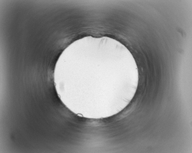 X0000116550624201001071117