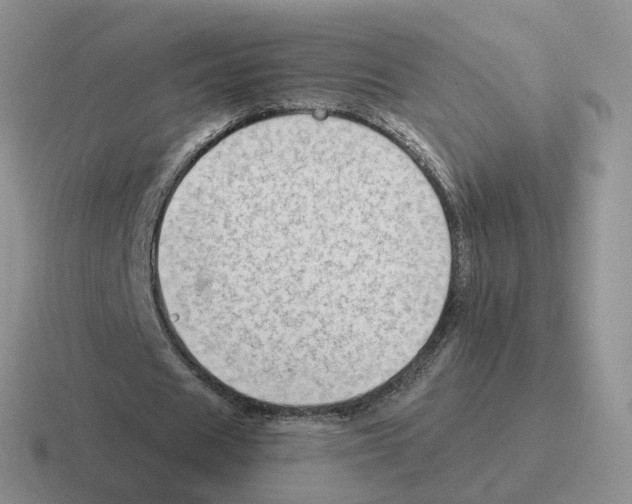 X0000116550625201001071116