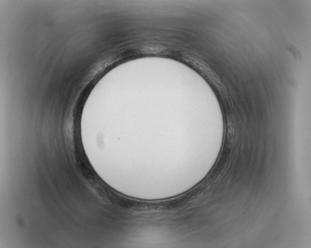 X0000116550626201001071116