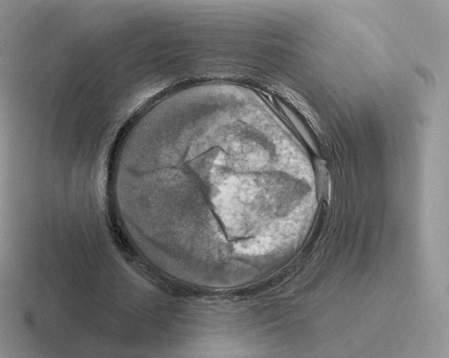 X0000116550627201001071116