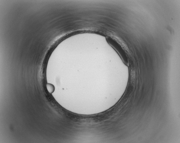 X0000116550628201001071116