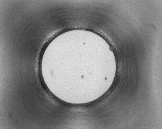 X0000116550629201001071116