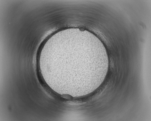 X0000116550630201001071116