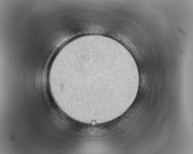 X0000116550632201001071116