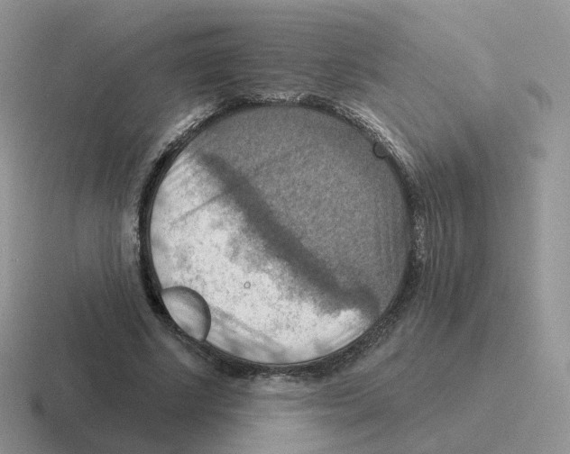 X0000116550634201001071116