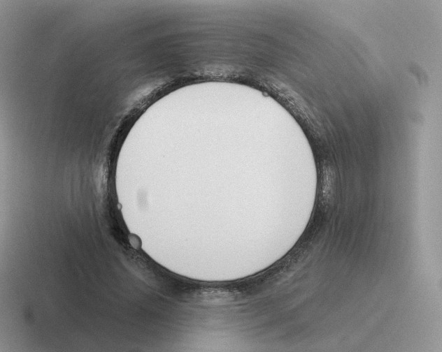 X0000116550636201001071116