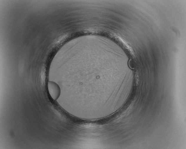 X0000116550637201001071116