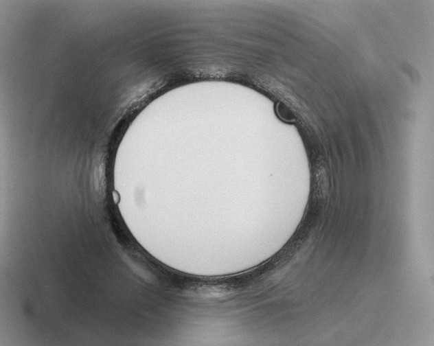 X0000116550638201001071116